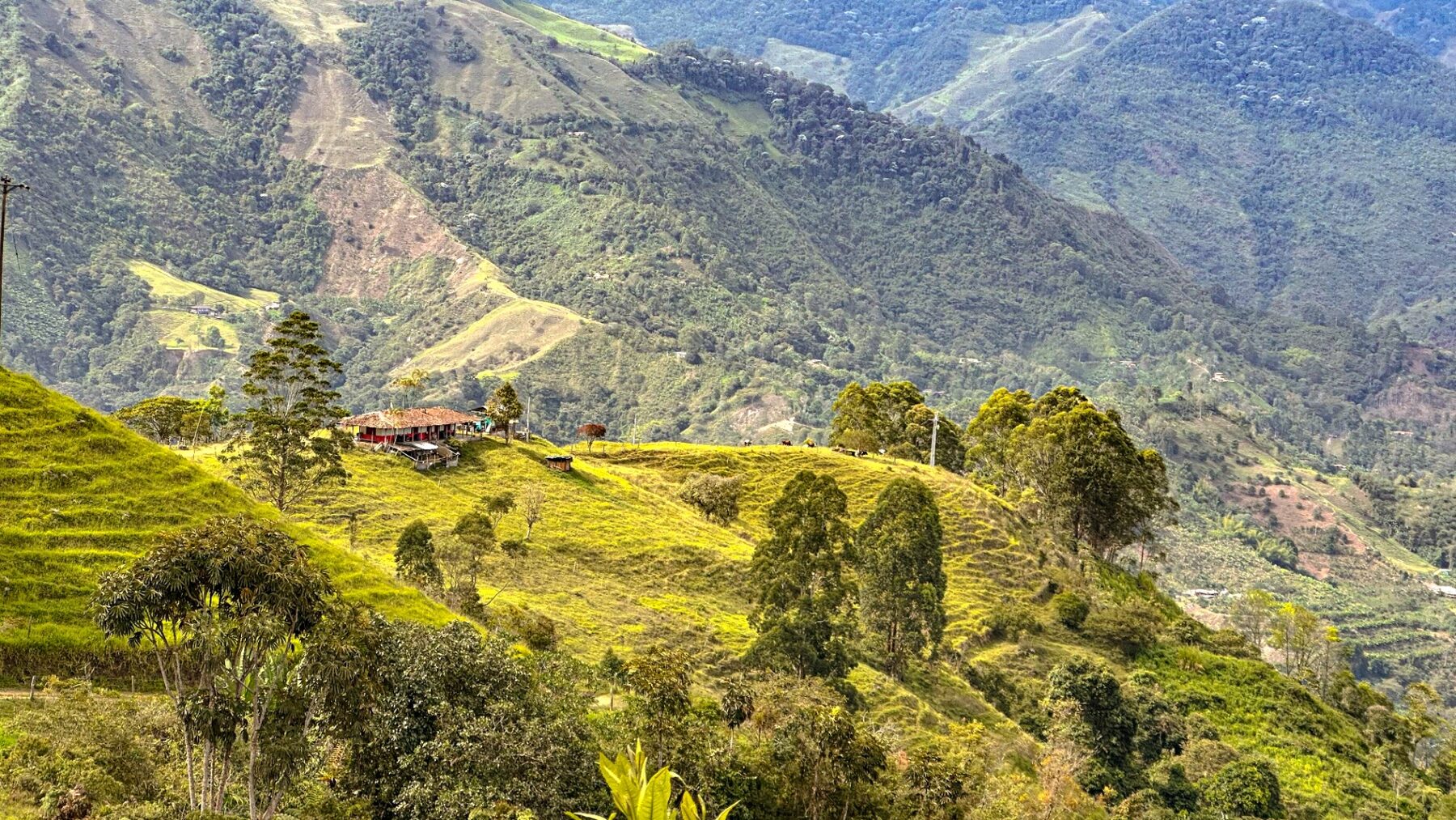 Casa de finca tradicional de techos rojos entre las montañas del Quindío