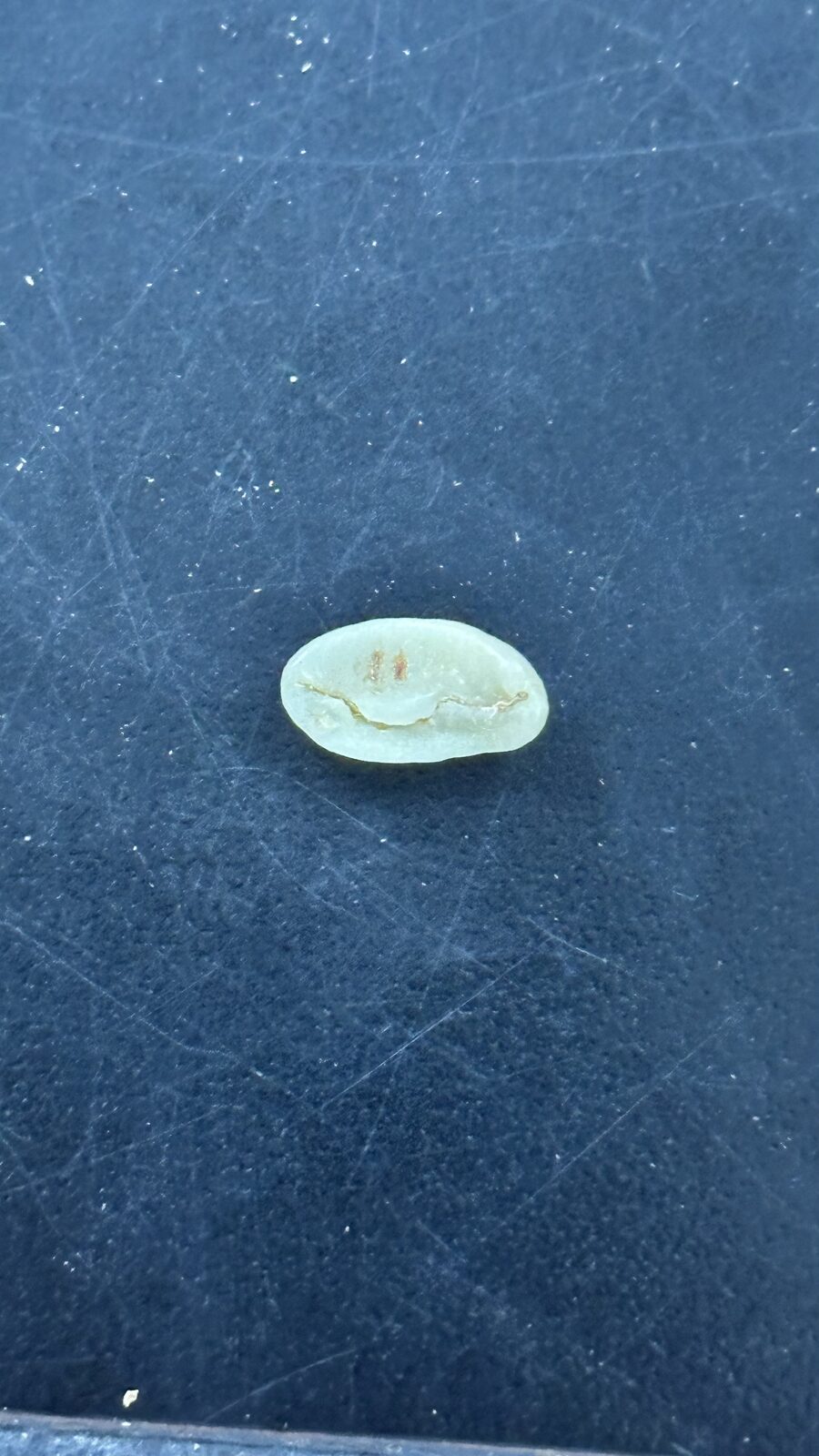 Grano de café verde en detalle sobre superficie oscura