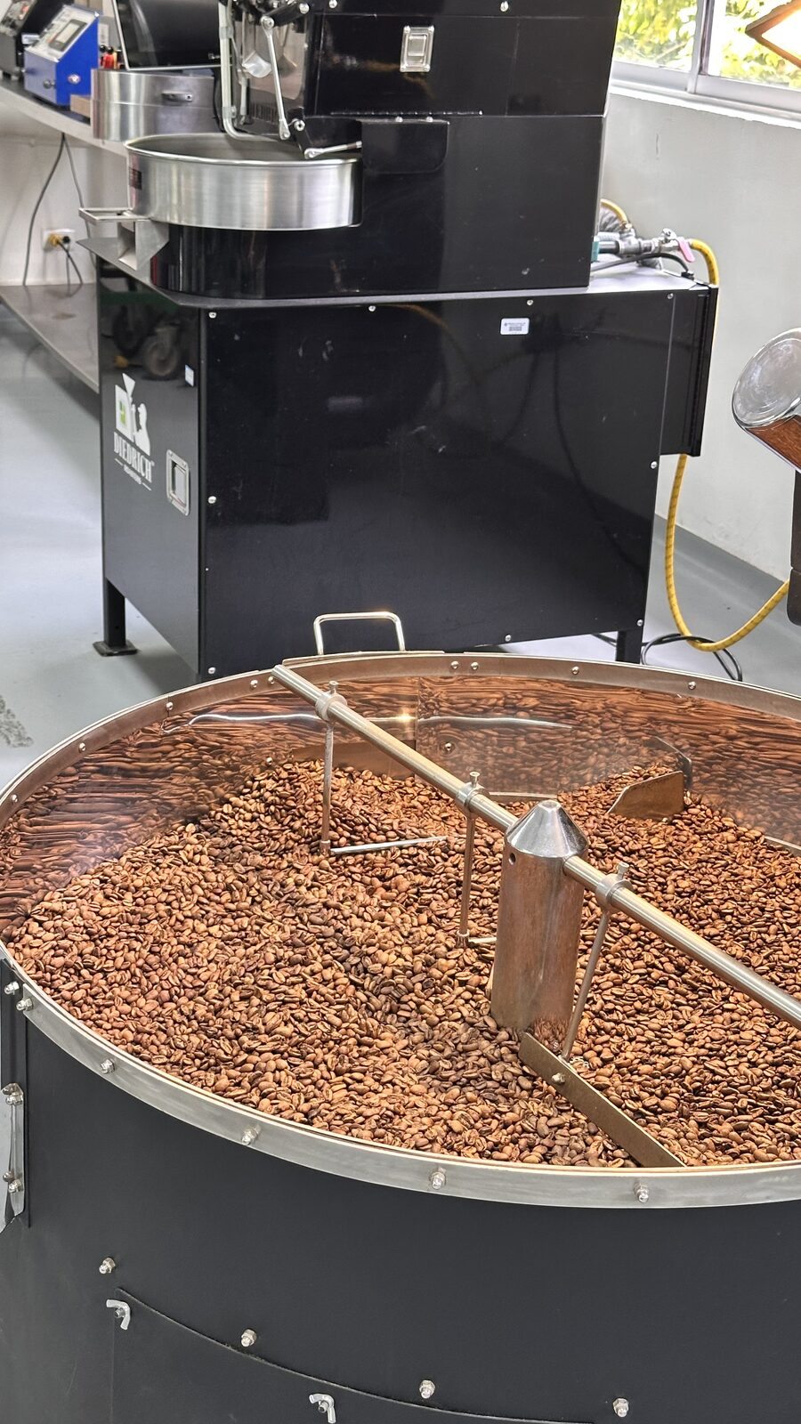 Café recién tostado enfriándose en la bandeja de la tostadora