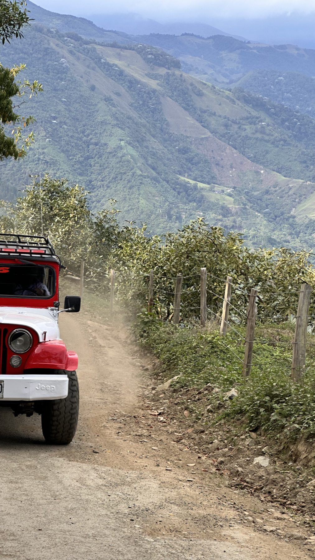 Jeep Willys subiendo por el camino destapado hacia la finca